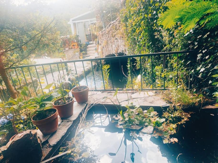 Gîte et jardin en bord de rivière Saumane Extérieur photo