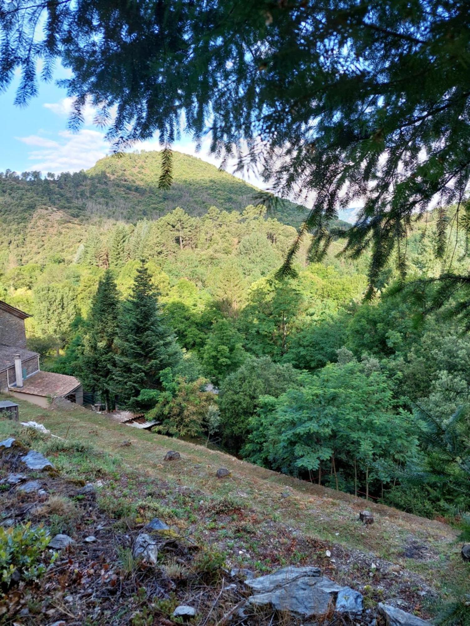 Gîte et jardin en bord de rivière Saumane Extérieur photo